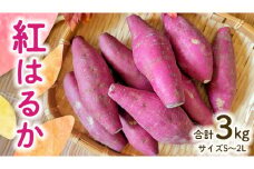 【 先行予約 】 茨城県産 紅はるか 3kg サイズS～2L さつまいも サツマイモ 紅はるか