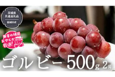 ゴルビー 500g ×2房【2025年9月より発送開始】（茨城県共通返礼品 [ぶどう]：結城市産） ぶどう ブドウ 葡萄 果物 フルーツ 茨城県産