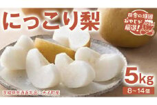 にっこり梨 5kg（8〜14個）【2025年10月より発送開始】（茨城県共通返礼品 [梨]：大子町産）田舎の頑固おやじが厳選！ 梨 なし ナシ 果物 フルーツ 茨城県産