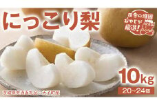 にっこり梨 10kg（20〜24個）【2025年10月より発送開始】（茨城県共通返礼品 [梨]：大子町産）田舎の頑固おやじが厳選！ 梨 なし ナシ 果物 フルーツ 茨城県産