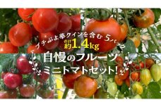 【2024年11月から発送開始】 華クイン！プチぷよ！自慢のフルーツ ミニトマトセット！プチぷよ華クインを含む 5パック 約1.4kg トマト ミニトマト プチぷよ フルティカ アイコ 華クイン 新鮮 美味しい 野菜