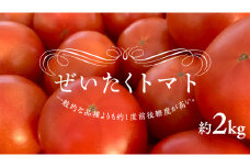 ぜいたくトマト！約2kg ( 9個～12個 ) トマト 大玉トマト 新鮮 美味しい 野菜