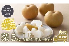 【定期便】梨 5kg（7〜12個）品種移り変わりセット【2025年8月より3か月連続で発送】（茨城県共通返礼品 [梨]：大子町産） なし ナシ 果物 フルーツ 茨城県産