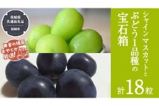 「粒々ぶどう18粒」 シャインマスカット と ぶどう 1品種の宝石箱【2025年8月より発送開始】（茨城県共通返礼品 [ぶどう]：結城市産） ぶどう ブドウ 葡萄 果物 フルーツ 茨城県産