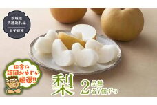 梨 2品種 各7個ずつ【2025年8月より発送開始】（茨城県共通返礼品 [梨]：大子町産）田舎の頑固おやじが厳選！  なし ナシ 果物 フルーツ 茨城県産