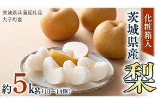 【化粧箱入り】梨 5kg（10〜14個）【2025年8月より発送開始】（茨城県共通返礼品 [梨]：大子町産） なし ナシ 果物 フルーツ 茨城県産