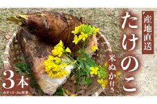 【 先行予約 】 【 数量限定 】 朝どれ【 たけのこ 】 3本 (合計1.5kg～2.0kg程度) 米ぬか 付き 産地直送 たけのこ 竹の子 筍 タケノコ 国産 煮物 炊き込みご飯 旬 季節もの 朝採れ 朝掘り