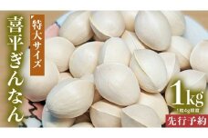 【先行予約】 喜平 ぎんなん 1kg (1粒4.0g程度・特大サイズ) 【2025年10月中旬より発送開始】  イチョウ 秋 美味 栄養満点 健康 高血圧予防 むくみ改善 疲労回復 美肌
