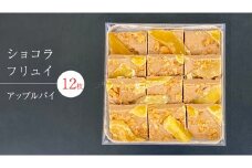 ショコラフリュイ アップルパイ 12枚 チョコレート チョコ スイーツ デザート 高級 ギフト 贈り物 お礼 プレゼント 手土産 お菓子