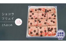 【 お歳暮 熨斗 付】 ショコラフリュイ とちおとめ 12枚 チョコレート チョコ スイーツ デザート 高級 ギフト 贈り物 お礼 プレゼント 手土産 お菓子