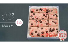 【 お中元 熨斗 付】 ショコラフリュイ とちおとめ 12枚 チョコレート チョコ スイーツ デザート 高級 ギフト 贈り物 お礼 プレゼント 手土産 お菓子