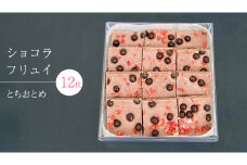 ショコラフリュイ とちおとめ 12枚 チョコレート チョコ スイーツ デザート 高級 ギフト 贈り物 お礼 プレゼント 手土産 お菓子