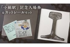 「 小絹駅 」 記念入場券 ・ カットレール セット 鉄道 関東鉄道 常総線 小絹駅 鉄道ファン つくばみらい市 みらいりんぞう ふるさと納税限定