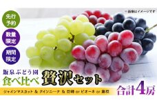 【 先行予約 】【 数量限定 】【 期間限定 】絶品！飯泉ぶどう園の おすすめ ぶどう 4種 （ シャインマスカット ＆ クインニ―ナ ＆ 巨峰 or ピオーネ or 藤稔 ）食べ比べ 贅沢セット（ 合計 4房 ） 2025年8月下旬～発送開始 シャインマスカット クインニ―ナ 巨峰 ピオーネ 藤稔 贅沢 飯泉ぶどう園 産直 新鮮 採れたて ふるさと納税