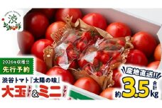 【 2026年 収穫分 先行予約 】 -太陽の味- 渋谷トマト 大玉トマト・ミニトマト詰め合わせ 約3.5kg 2026年1月5日～発送開始 トマト ミニトマト 茨城 産地直送 農家直送リコピン ビタミン 有機肥料 野菜 甘い 直売所