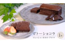 ガトーショコラ フレッシュ・カカオ・アロマ チョコレート チョコ ガトーショコラ テリーヌショコラ スイーツ デザート 高級 ギフト 贈り物 お礼 プレゼント 手土産 お菓子