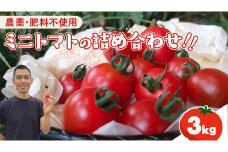 今夏お届け！ 農薬 ・ 肥料 不使用 ミニトマト の 詰め合わせ 3kg オーガニック ミニ トマト 有機栽培 健康 自然 肥料不使用 炭素循環農法 