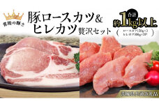 【 常陸の輝き 】 豚 ロースカツ ＆ ヒレカツ 贅沢 セット（合計約1kg以上） (茨城県共通返礼品) 国産 国内産 豚肉 ポーク ロース かつ丼 ステーキ トンテキ とんかつ 焼肉 バーベキュー BBQ 贈り物