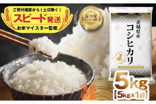 令和6年産 茨城県産 コシヒカリ 5kg ( 5kg ×1袋) 五つ星 お米マイスター 監修 こしひかり 国産 こめ コメ 米 精米 すぐ発送 人気 美味しい ランキング ふるさと納税 返礼品