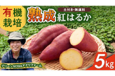 茨城県産 紅はるか 5kg 土付き 無選別 熟成 さつまいも 生芋 芋 サツマイモ 農薬不使用 化学肥料不使用 甘い 焼き芋 スイートポテト ねっとり
