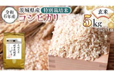 令和6年産 茨城県産 玄米 特別栽培米 コシヒカリ 5kg （5kg×1袋） こしひかり 米 コメ こめ 単一米 限定 茨城県産 国産 美味しい お米 おこめ おコメ