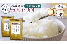 令和6年産 茨城県産 精米 特別栽培米 コシヒカリ 10kg （5kg×2袋） 白米 こしひかり 米 コメ こめ 単一米 限定 茨城県産 国産 美味しい お米 おこめ おコメ