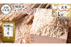 令和6年産 茨城県産 玄米 コシヒカリ 5kg （5kg×1袋） 清米 キヨシマイ こしひかり 米 コメ こめ 単一米 限定 茨城県産 国産 美味しい お米 おこめ おコメ