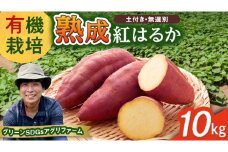 茨城県産 紅はるか 10kg 土付き 無選別 熟成 さつまいも 生芋 芋 サツマイモ 農薬不使用 化学肥料不使用 甘い 焼き芋 スイートポテト ねっとり