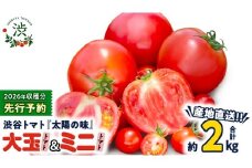 【 2026年 収穫分 先行予約 】 -太陽の味- 渋谷トマト 大玉トマト・ミニトマト詰め合わせ 約2kg 2026年1月5日～発送開始 トマト ミニトマト 茨城 産地直送 農家直送リコピン ビタミン 有機肥料 野菜 甘い 直売所 [EL04-NT]