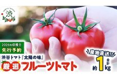 【 2026年 収穫分 先行予約 】 -太陽の味- 渋谷トマト 厳選　フルーツトマト 約1kg 2026年1月5日～発送開始 トマト ミニトマト フルーツトマト 茨城 産地直送 農家直送リコピン ビタミン 有機肥料 野菜 甘い 直売所 [EL05-NT]