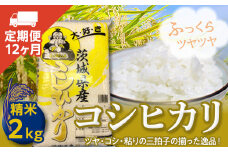 【定期便】コシヒカリ（2Kg×12ヶ月） 新生活 プレゼント 新生活応援 必要なもの 便利 おすすめ 消耗品 一人暮らし 二人暮らし 必要