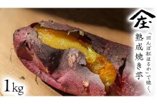 「田んぼ 紅はるか」で焼く、熟成焼き芋 1kg (500g×2梱包) 焼き芋 芋 さつまいも おやつ スイーツ 茨城 庄七農園
