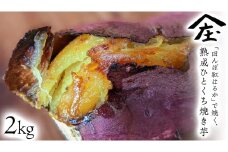 「田んぼ 紅はるか」で焼く、熟成ひとくち焼き芋 2kg (500g×4包装) 焼き芋 芋 さつまいも おやつ スイーツ 茨城 庄七農園