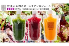 【定期便 全３回】野菜と果物の コールドプレスジュース 200ml × 6本セット 酵素ドリンク デトックス 免疫 ライフスタイル 健康 美容 無添加 野菜 果物 新鮮 有機 無農薬 減農薬 特別栽培 SDGs ジュース 冷凍 解毒 胃腸 やさしい ターンオーバー 代謝 老廃物 新陳代謝