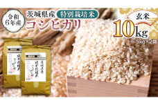 令和6年産 茨城県産 玄米 特別栽培米 コシヒカリ 10kg （5kg×2袋） こしひかり 米 コメ こめ 単一米 限定 茨城県産 国産 美味しい お米 おこめ おコメ