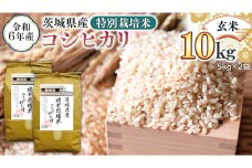 令和6年産 茨城県産 玄米 特別栽培米 コシヒカリ 10kg （5kg×2袋） こしひかり 米 コメ こめ 単一米 限定 茨城県産 国産 美味しい お米 おこめ おコメ