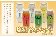 塩糀 6本 セット 塩麹 塩こうじ 料理 発酵 調味料 農創