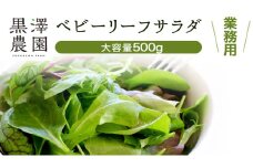 【 業務用 】 黒澤農園 の ベビーリーフサラダ 500g 大容量タイプ 業者向け ベビーリーフ サラダ 生野菜 食べやすい 若葉 ファミリー 旬 新鮮 国産 彩り パーティー 大量 お得パック  