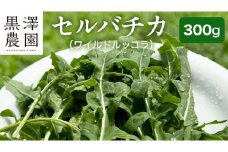 つくばみらい市 で栽培した セルバチカ ( ワイルドルッコラ ) 300g サラダ さらだ ルッコラ ハーブ 新鮮 国産 辛い セルバチコ ベビーリーフ イタリア野菜 イタリア料理  イタリアン パスタ 高級 トッピング 大容量 たっぷり