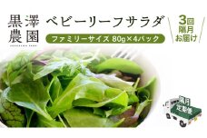 【 定期便 】全3回隔月でお届け！ 黒澤農園 の ベビーリーフサラダ （ 80g × 4パック ）ファミリーサイズ ベビーリーフ サラダ 生野菜 食べやすい 若葉 ファミリー 旬 新鮮 国産 彩り 頒布会 野菜 葉野菜 国産 直送 定期