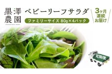 【 定期便 】3か月連続でお届け！ 黒澤農園 の ベビーリーフサラダ （ 80g × 4パック ）ファミリーサイズ ベビーリーフ サラダ 生野菜 食べやすい 若葉 ファミリー 旬 新鮮 国産 彩り 頒布会 野菜 葉野菜 国産 直送 定期