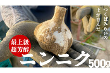 超芳醇 つくばみらいの土が育んだ 最上級ニンニク 500g つくばみらい市 ニンニク 新ニンニク 茨城県産 国産 無化学肥料 農薬不使用 化学肥料不使用