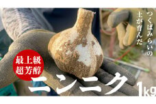 超芳醇 つくばみらいの土が育んだ 最上級ニンニク 1kg つくばみらい市 ニンニク 新ニンニク 茨城県産 国産 無化学肥料 農薬不使用 化学肥料不使用