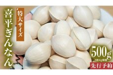 【先行予約】 喜平 ぎんなん 500g (1粒4.0g程度・特大サイズ) 【2025年10月中旬より発送開始】  イチョウ 秋 美味 栄養満点 健康 高血圧予防 むくみ改善 疲労回復 美肌