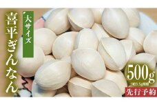 【先行予約】 喜平 ぎんなん 500g (1粒3.5g程度・大サイズ) 【2025年10月中旬より発送開始】  イチョウ 秋 美味 栄養満点 健康 高血圧予防 むくみ改善 疲労回復 美肌