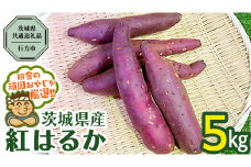 べにはるか 5kg 【2024年10月から発送開始】（茨城県共通返礼品 [さつまいも]：行方市産） さつまいも 紅はるか 芋 いも 野菜