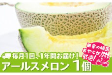 【定期便】 アールスメロン 食べてみセット 1個入り 毎月1回 1年コース (全12回)