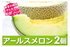 アールスメロン 2個  メロン ギフト 贈答品 贈り物 フルーツ 果物