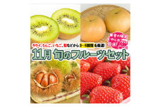 旬のフルーツセット 11月号【11月より発送開始】 田舎の頑固おやじが厳選！