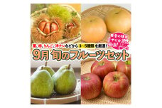 旬のフルーツセット 9月号【9月より発送開始】 田舎の頑固おやじが厳選！